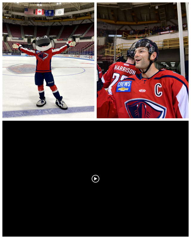Review South Carolina Stingrays image 41248