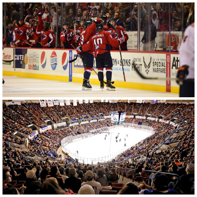 Review South Carolina Stingrays image 41249