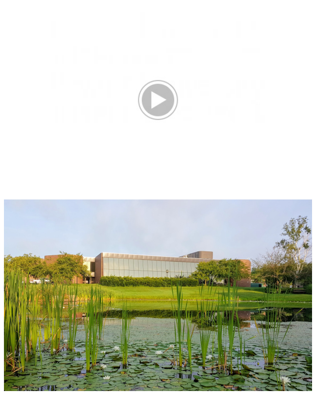 Review Byran Unversity image 154808