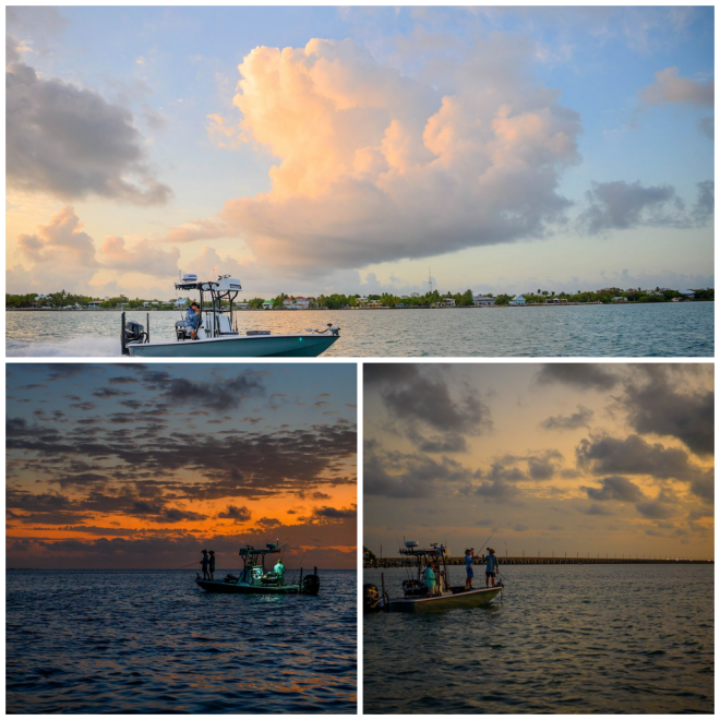 Review Hawk's Cay Resort, Florida image 6322