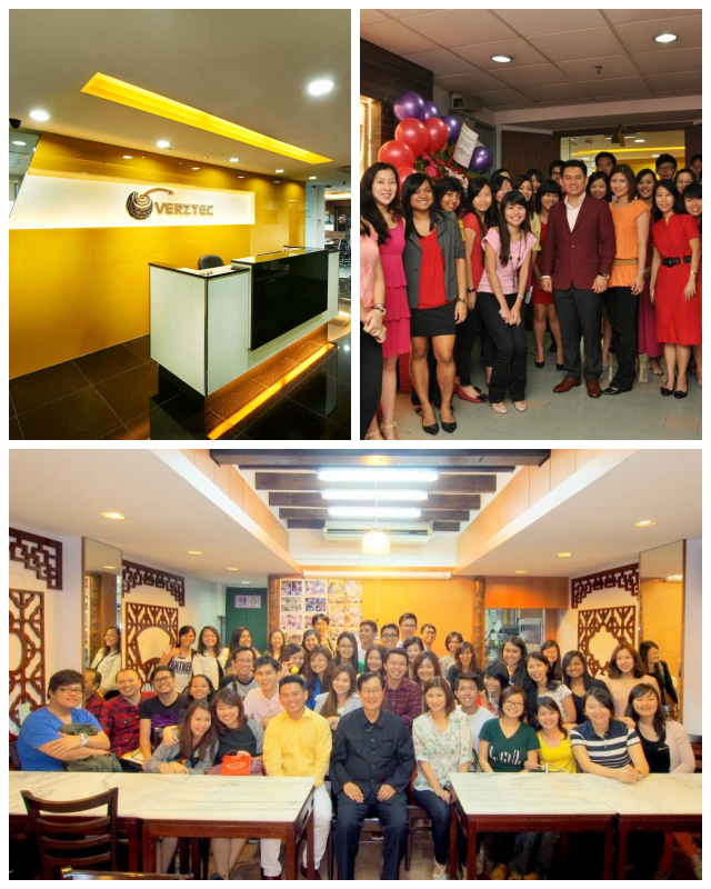 Review Verztec Consulting Pte Ltd image 233655