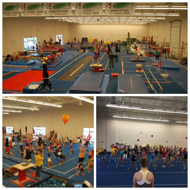 Review Red cedar gymnastics image 343912
