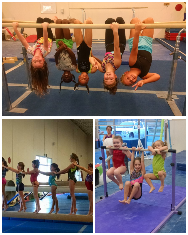 Review Red cedar gymnastics image 343913