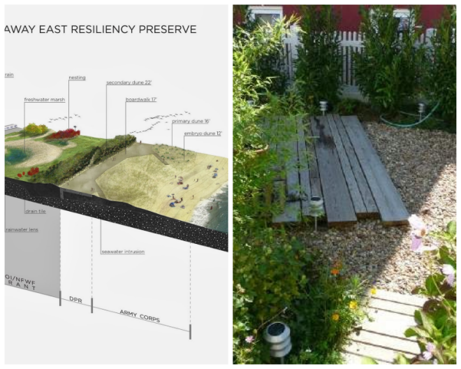 Review Local Office Landscape Architecture image 190904