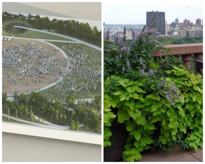 Review Local Office Landscape Architecture image 190905