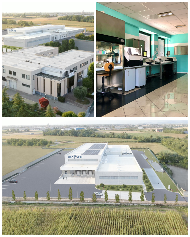 Review Diapath S.p.a. image 179142