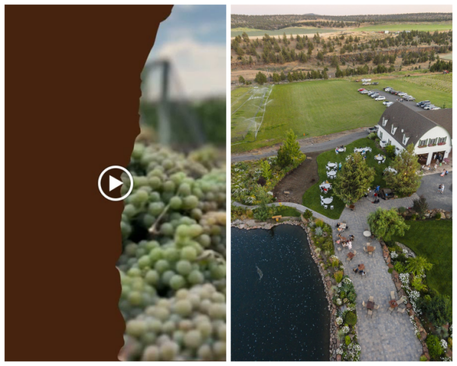 Review Faith, hope and charity vineyards and events center image 282914