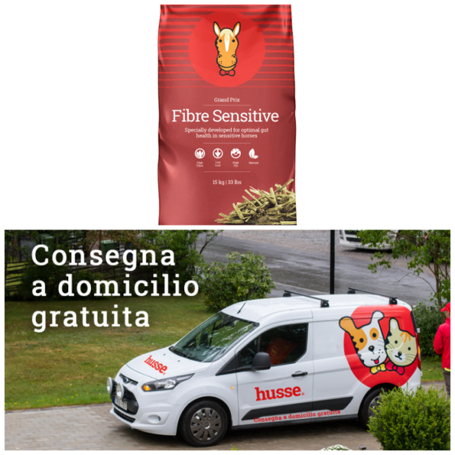 Review Husse Italia image 178920