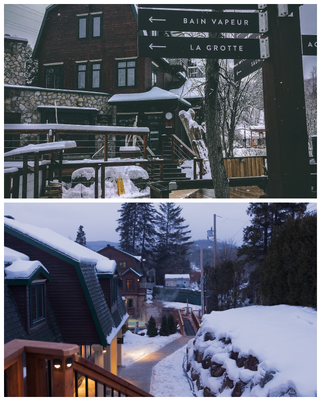 Review spa polar bears club image 144745