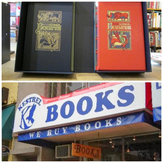 Review Kestrel Books image 237975
