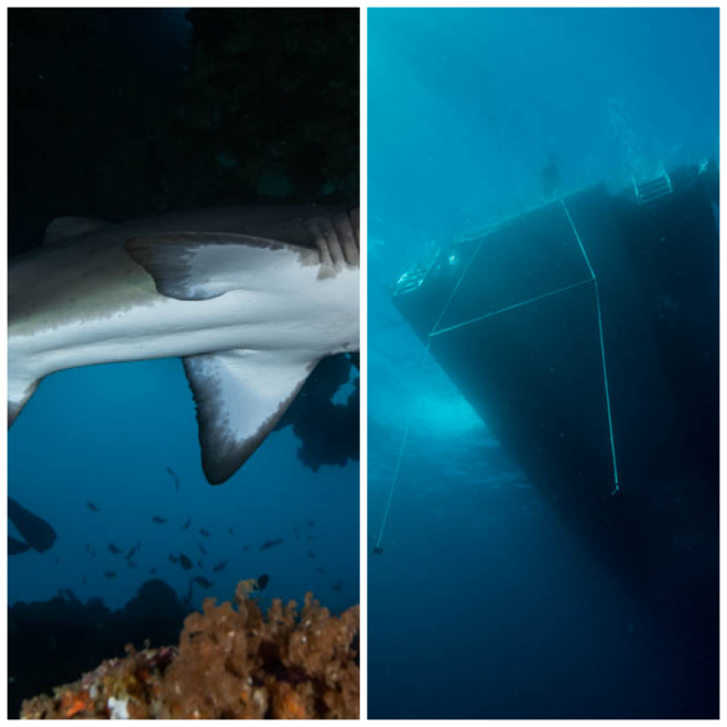 Review Perth Scuba image 190154