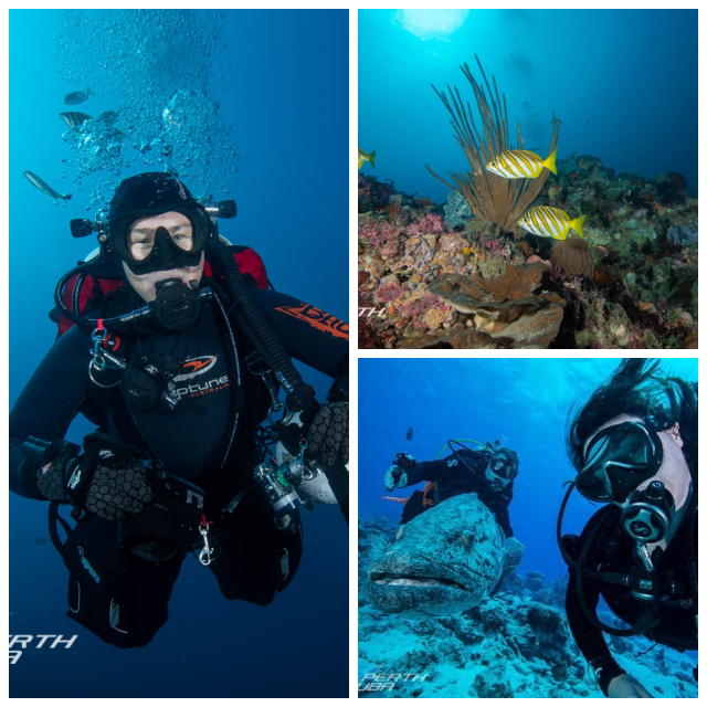 Review Perth Scuba image 190155