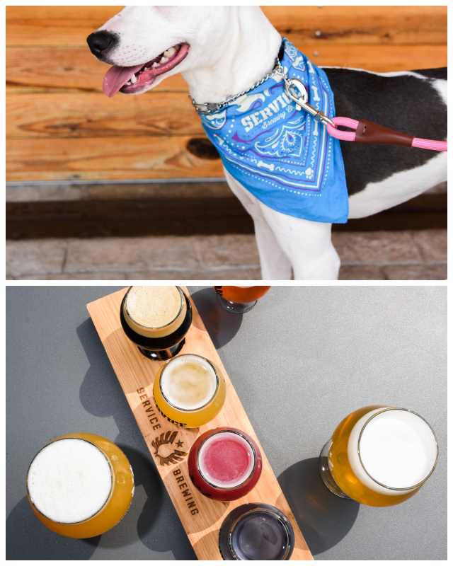 Review Service Brewing Company image 22353