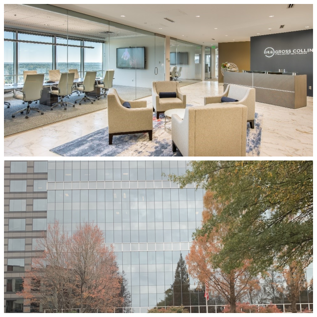 Review Hlb gross collins, p.c. image 254499