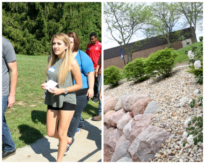 Review Carl sandburg college image 244063