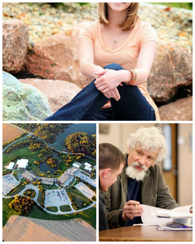 Review Carl sandburg college image 244065