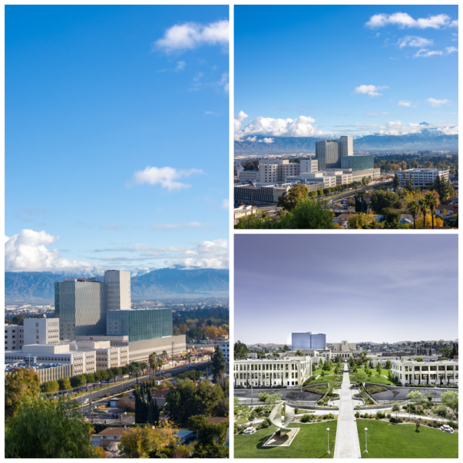 Review Loma linda university health image 240311