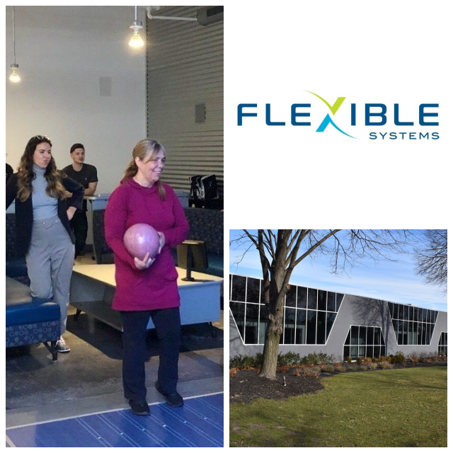 Review Flexible business systems image 255179