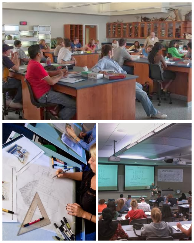 Review Harper college image 239762