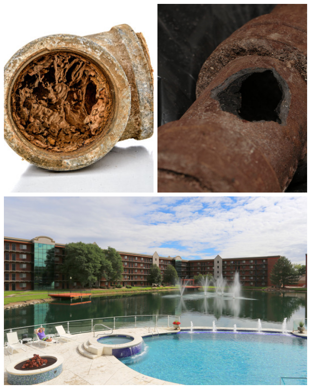 Review Sagewater image 267279