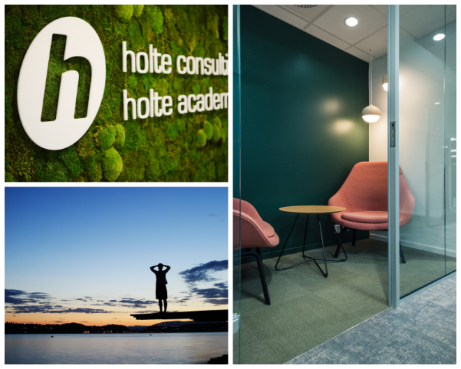 Review Holte Consulting as image 142433