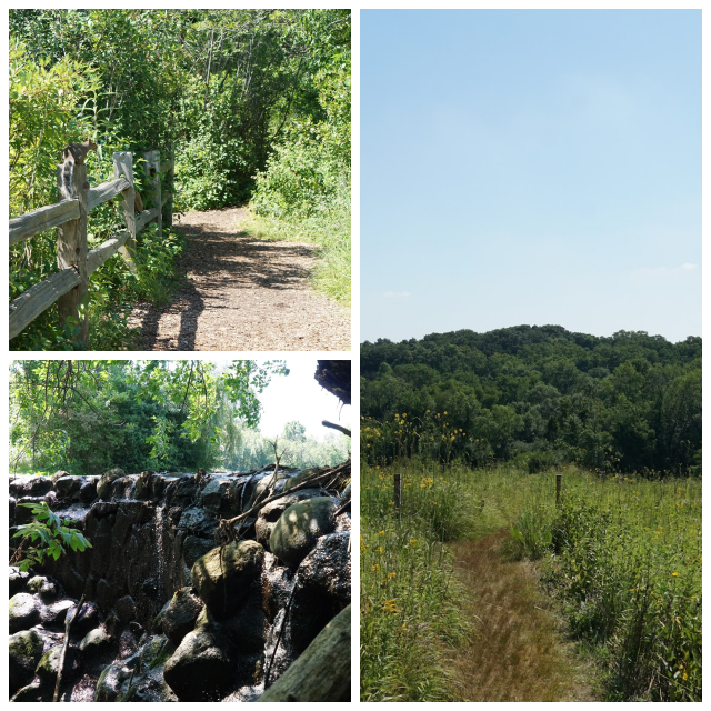 Review Wehr Nature Center - Milwaukee County Park System image 118279