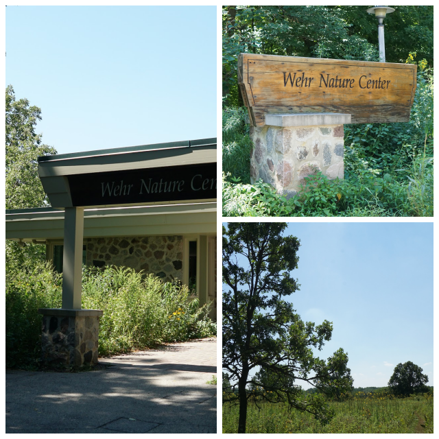 Review Wehr Nature Center - Milwaukee County Park System image 118280