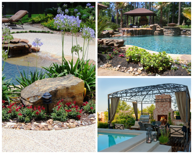 Review Custom Pool Concepts image 198079
