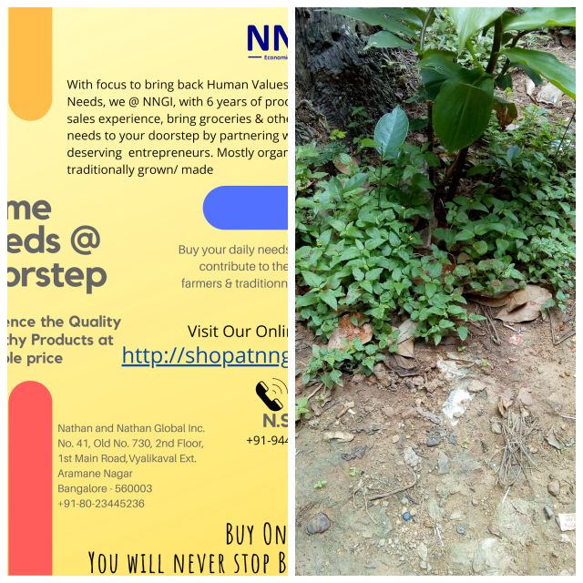 Review Nathan and Nathan consultants Pvt Ltd. image 69101