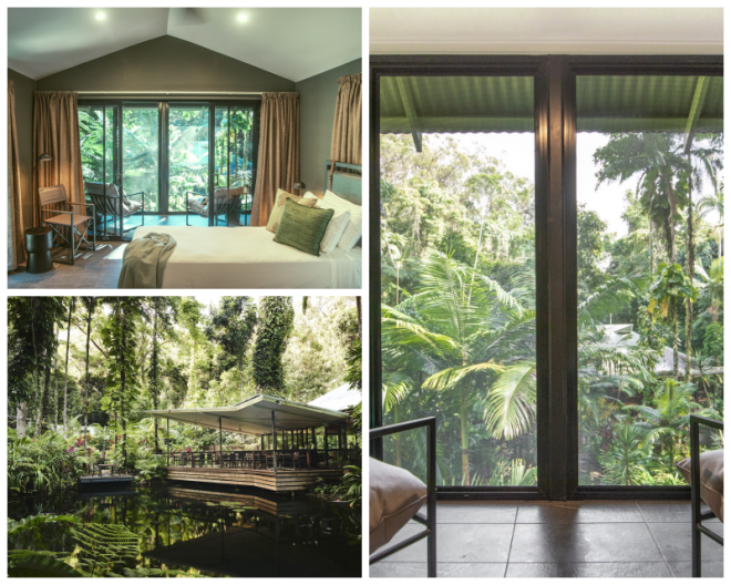 Review Daintree Eco Lodge and Spa image 26326