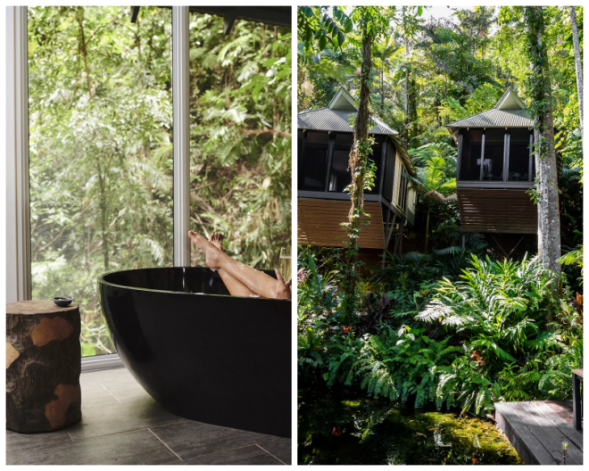 Review Daintree Eco Lodge and Spa image 26327