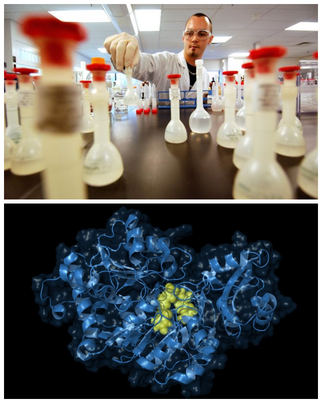 Review Mpi research image 241091