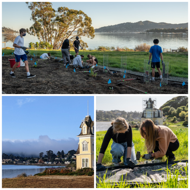 Review Tiburon Audubon Center and Sanctuary image 80363