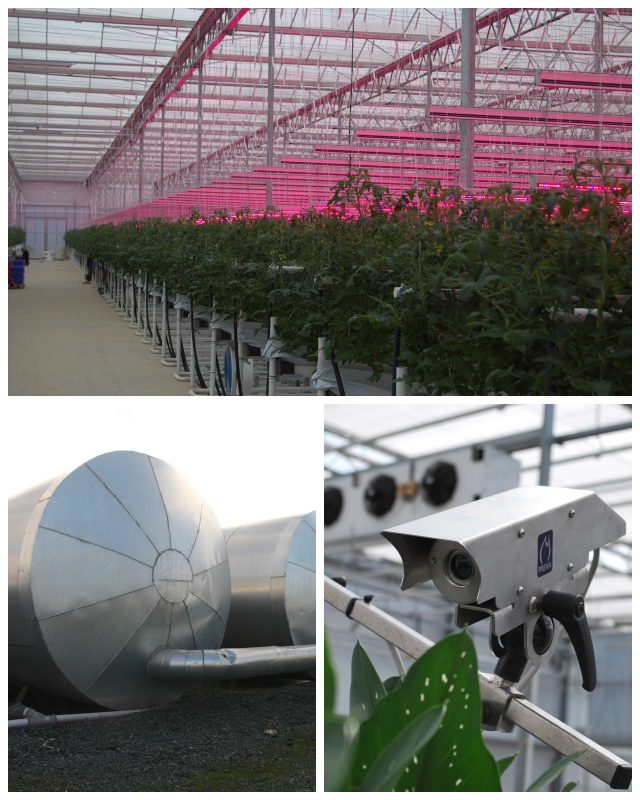 Review CMW Horticulture Ltd. image 159751