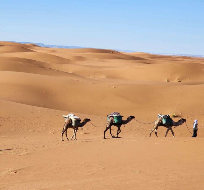 Review Voyagiste Maroc image 356512