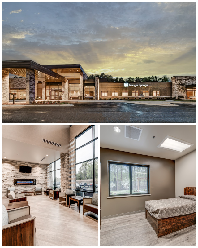 Review Triangle springs image 266525