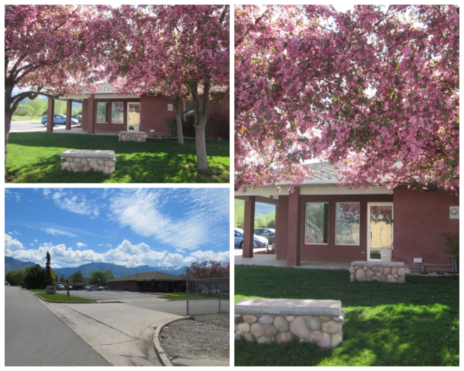 Review Cache Meadow Vet. Clinic image 102149