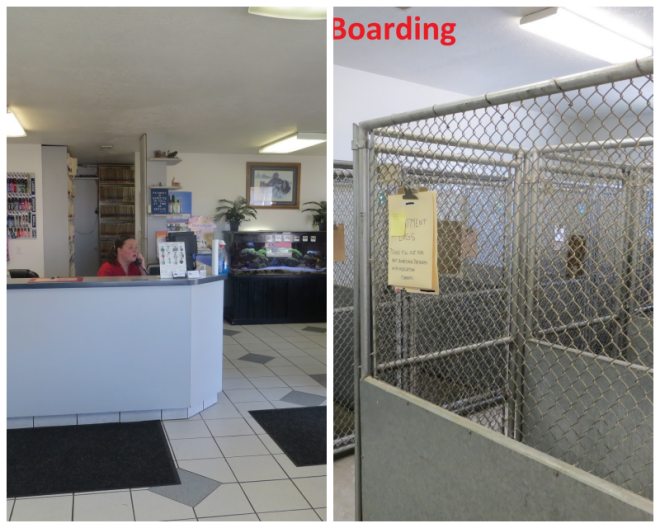Review Cache Meadow Vet. Clinic image 102152