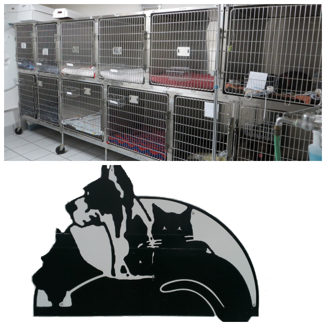Review Cache Meadow Vet. Clinic image 102153