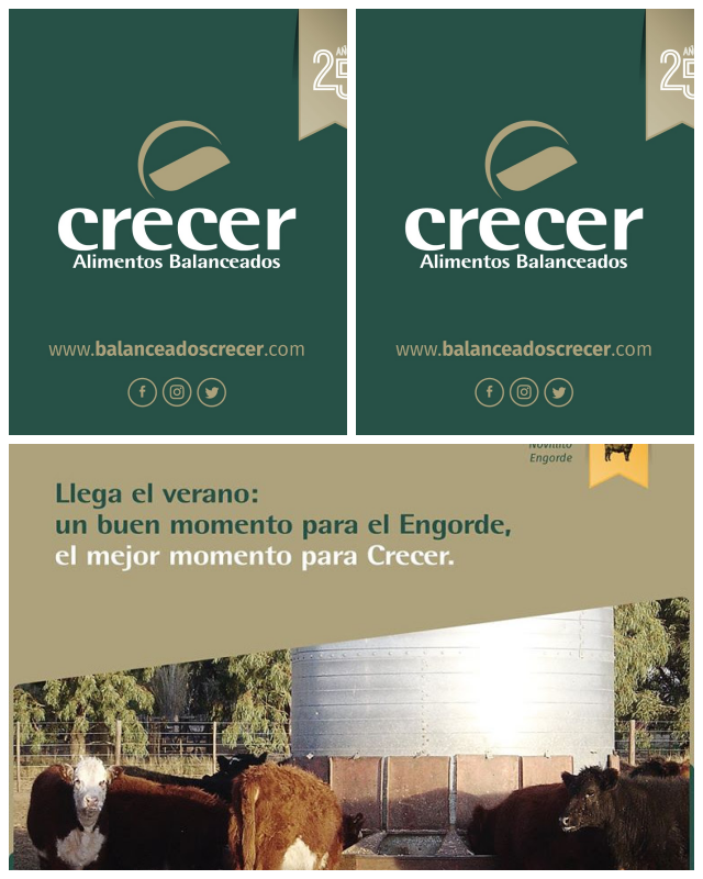 Review Alimentos Balanceados Crecer S.A. image 31482