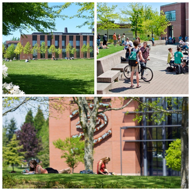 Review Whatcom community college image 242035