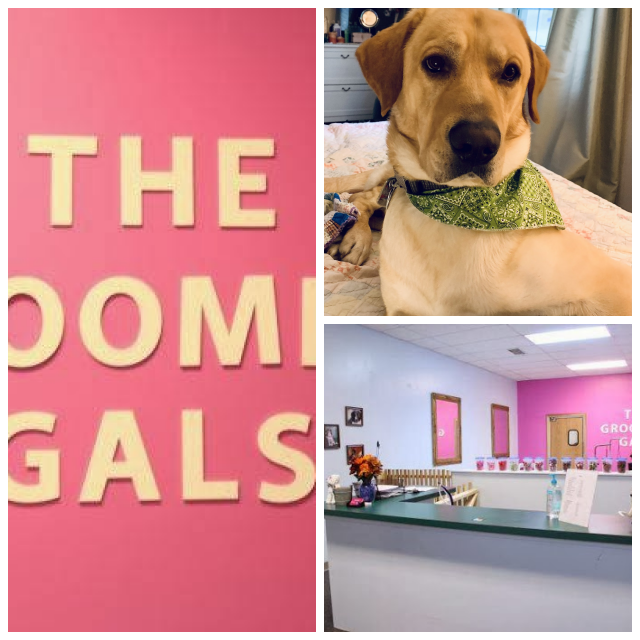 Review Groomin' Gals image 170231