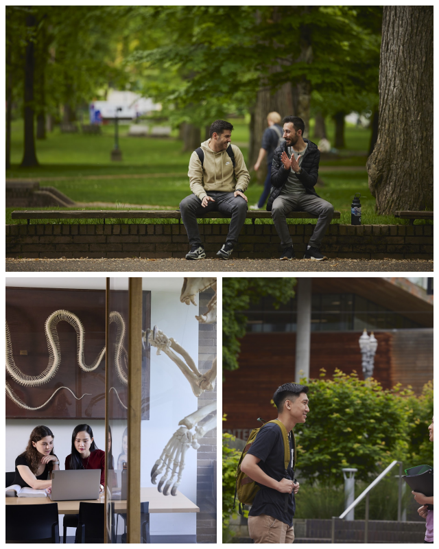 Review Portland State Univers image 80631