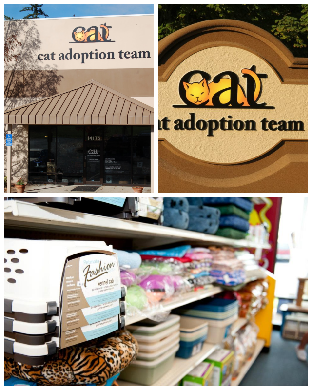 Review Cat Adoption Team image 205189