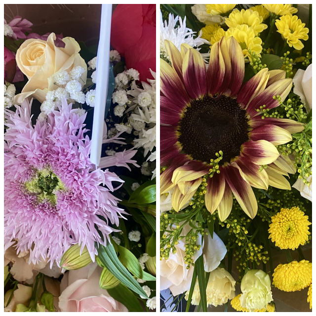 Review Johnson's Florist and Garden Center image 230257