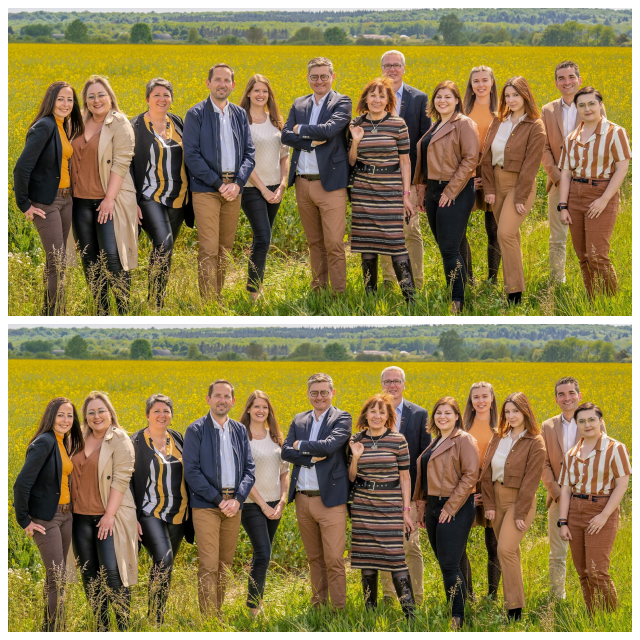 Review MEGAHR Consulting Group image 94733