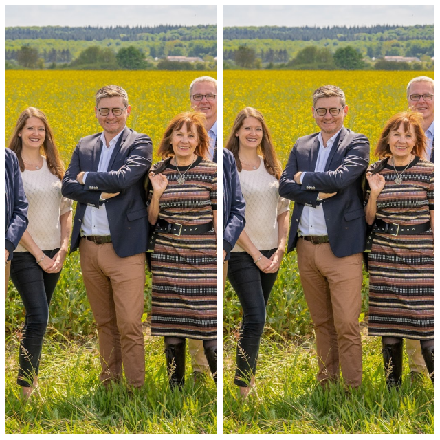 Review MEGAHR Consulting Group image 94734