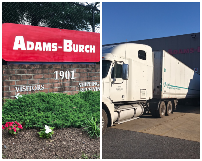 Review Adams burch image 257305