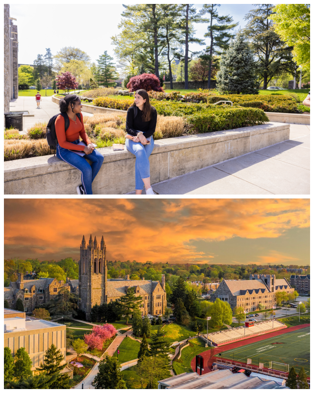 Review Saint joseph's university image 239755