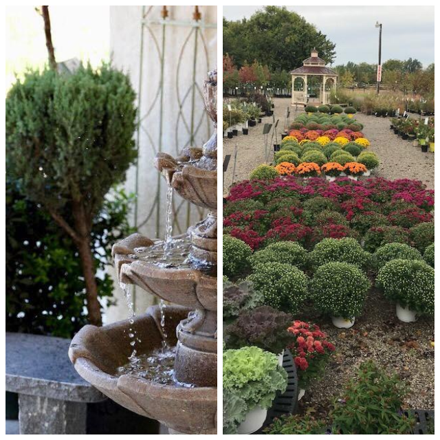 Review Brady Nursery image 66279